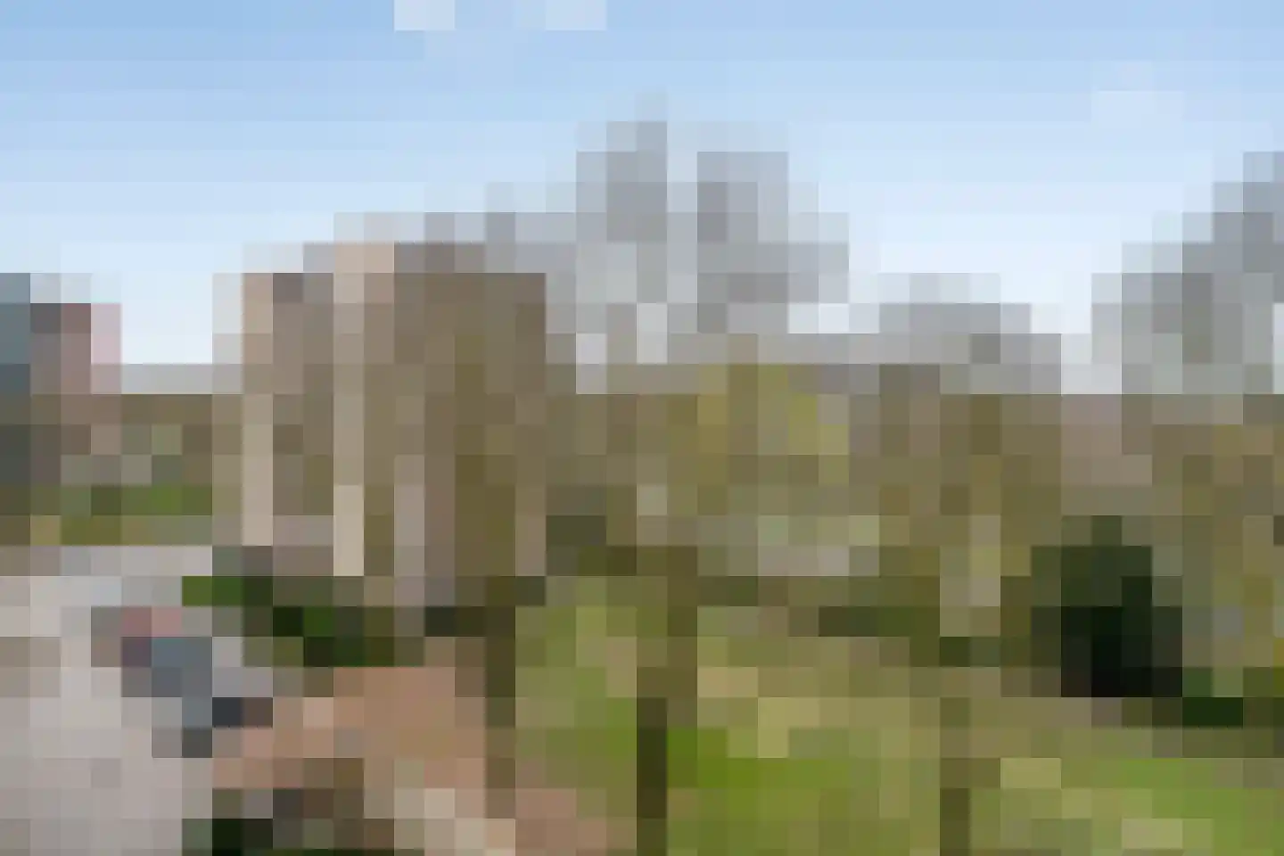 Venuslaan 347 Eindhoven thumbnail 30