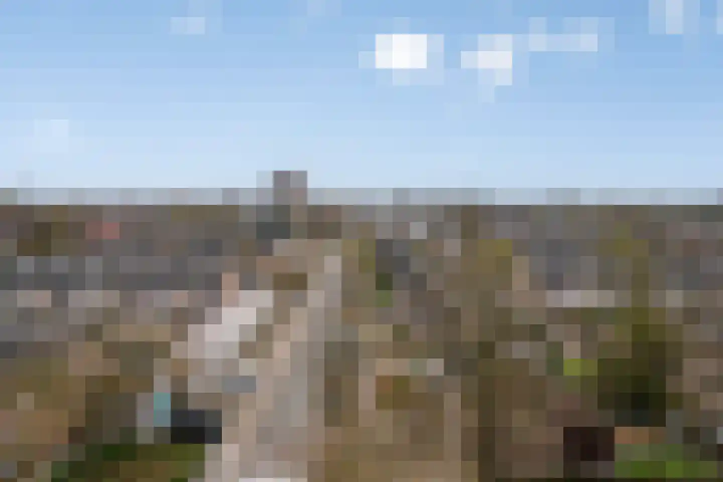 Venuslaan 347 Eindhoven thumbnail 43