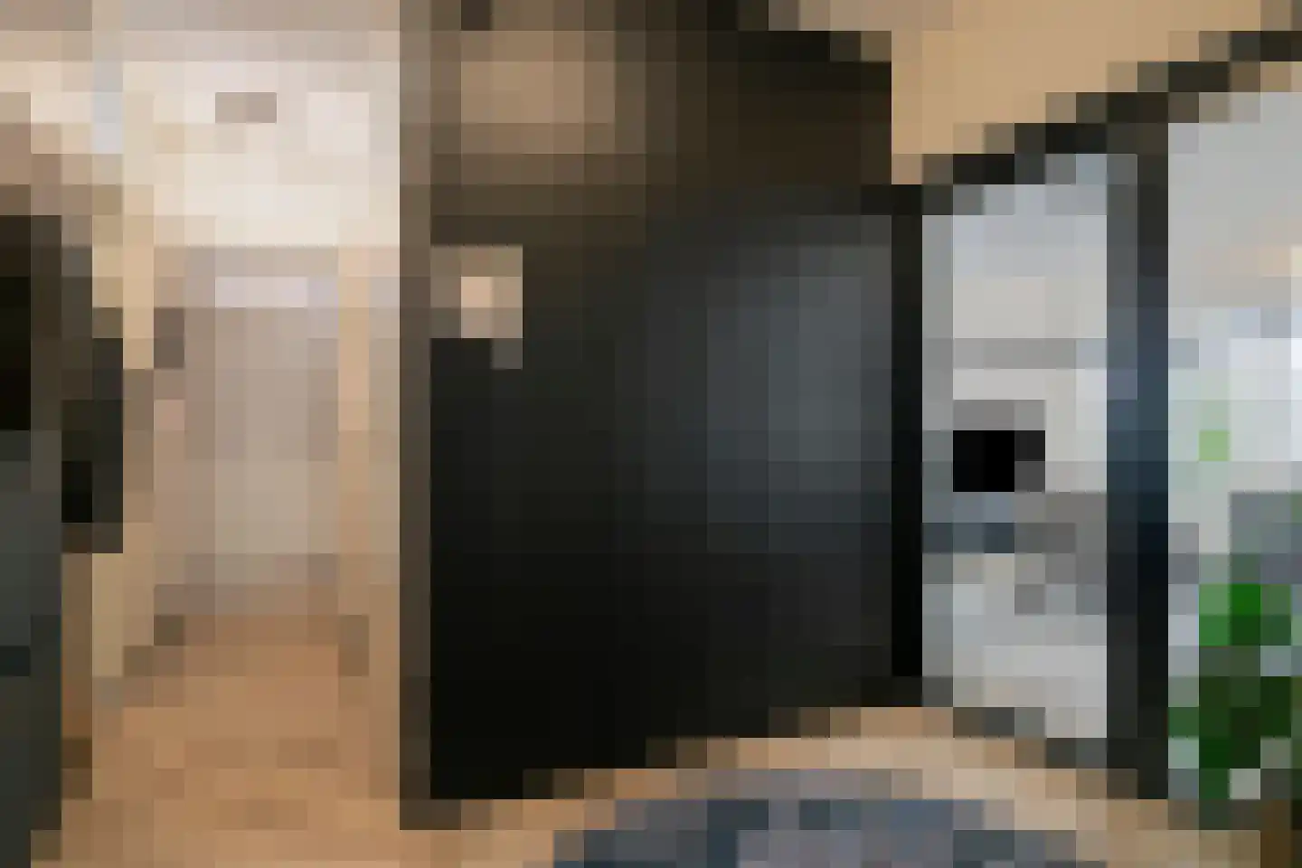 Venuslaan 347 Eindhoven thumbnail 9