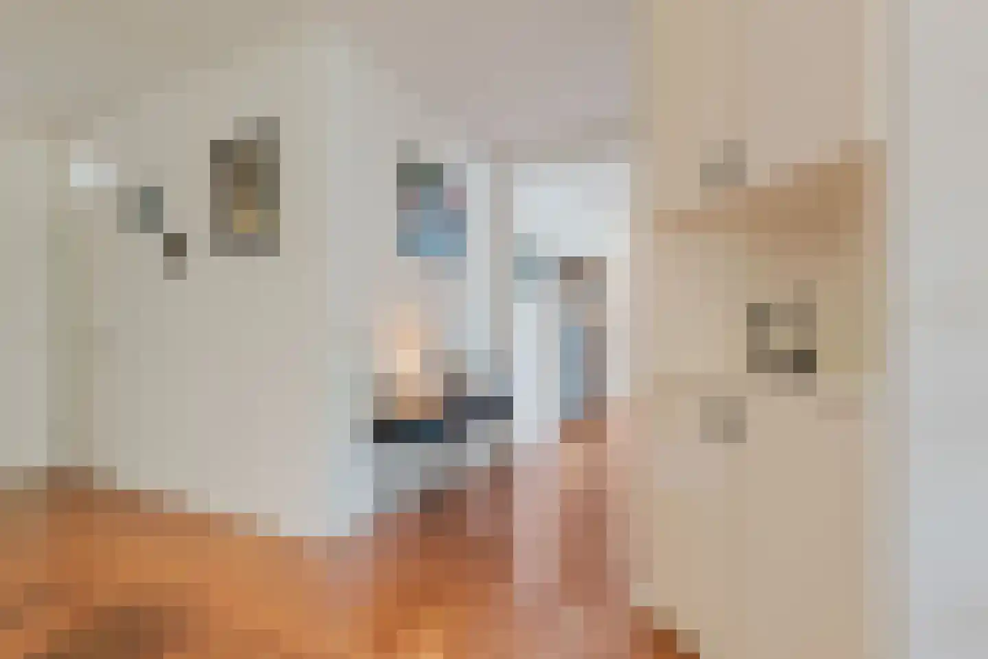 Venuslaan 359 A Eindhoven thumbnail 26