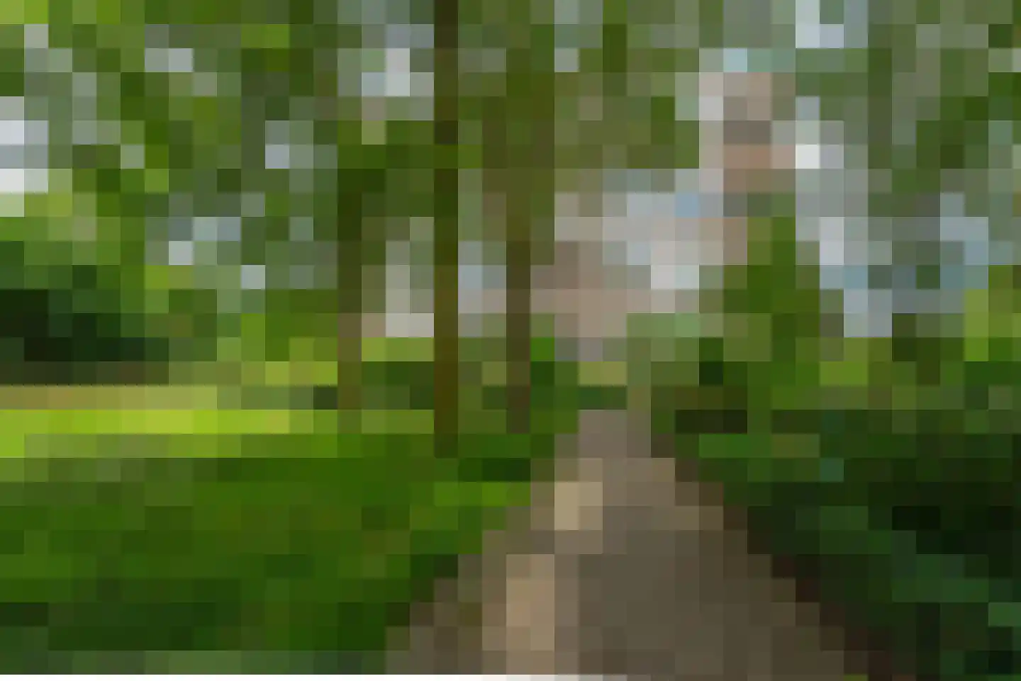 Venuslaan 359 A Eindhoven thumbnail 53