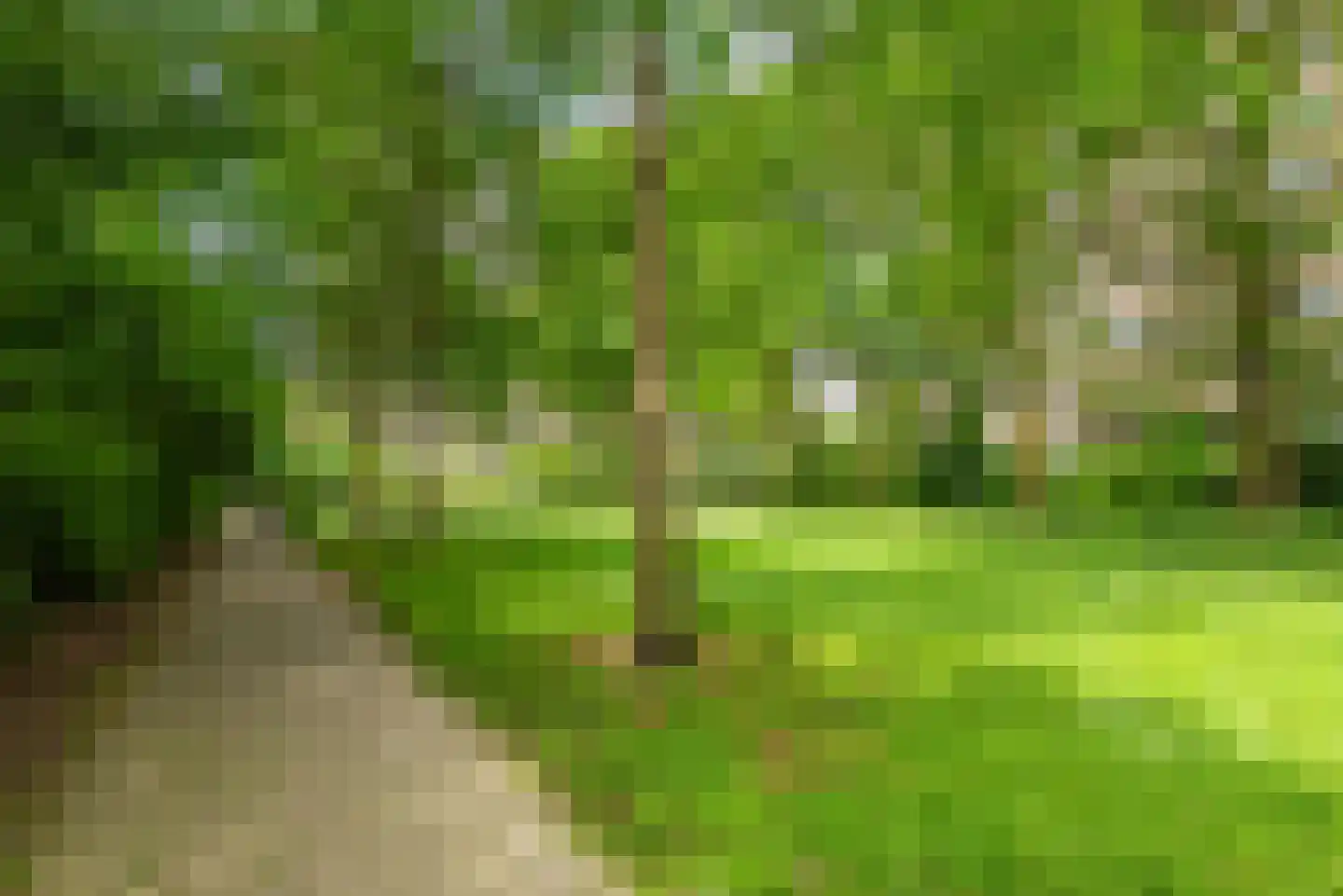 Venuslaan 359 A Eindhoven thumbnail 54