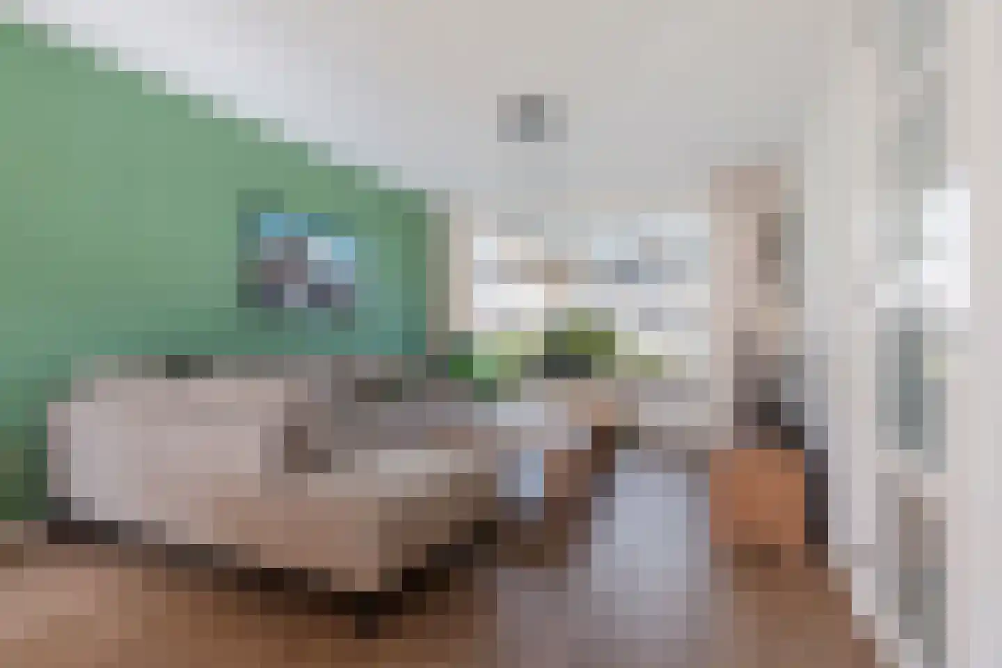 Venuslaan 36 Son en Breugel thumbnail 8