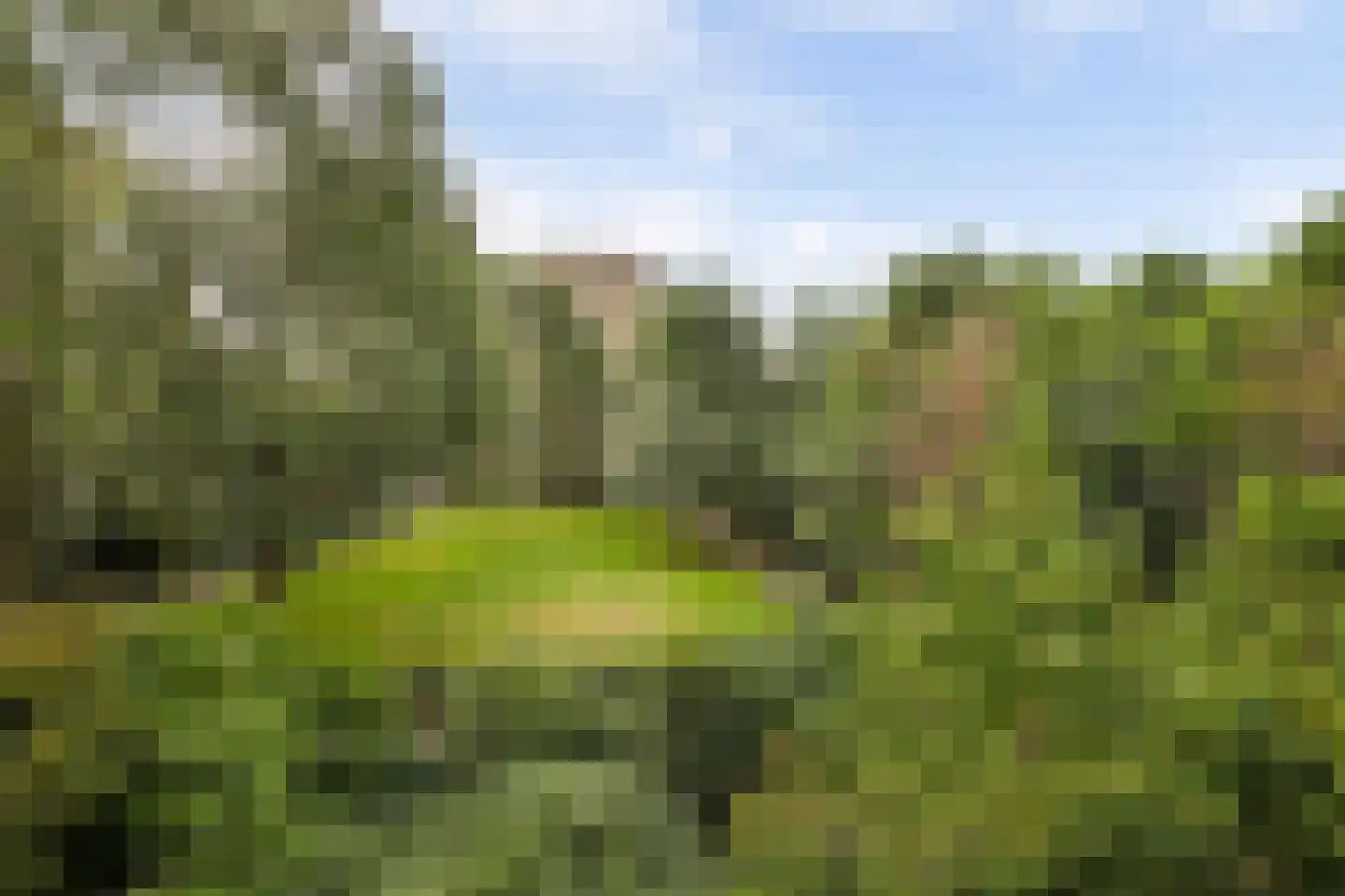 Venuslaan 379 A Eindhoven thumbnail 25