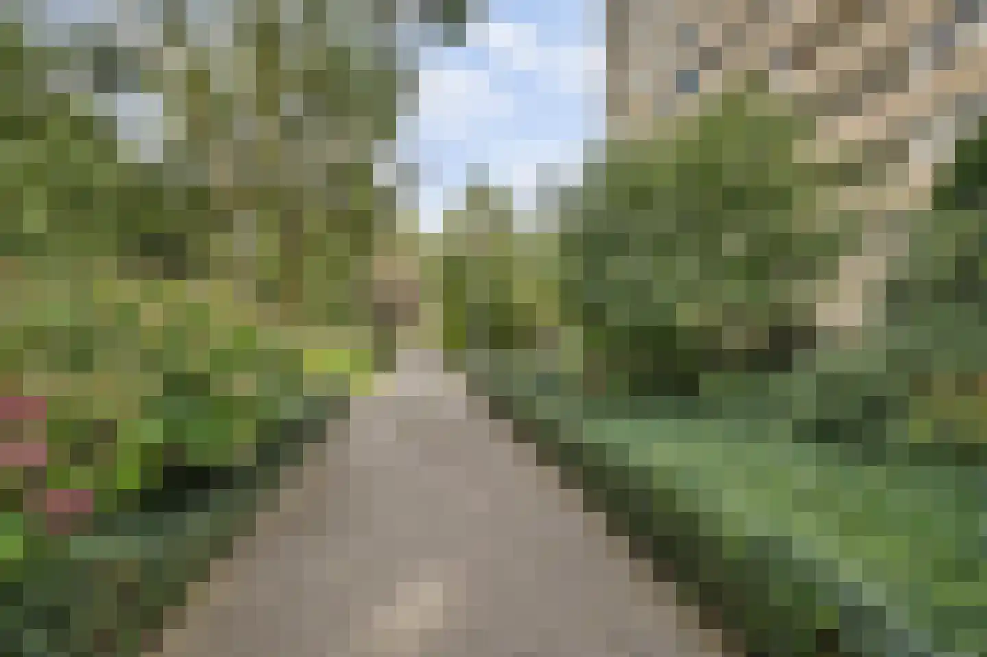 Venuslaan 379 A Eindhoven thumbnail 26