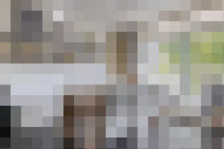 Venuslaan 379 Eindhoven thumbnail 18