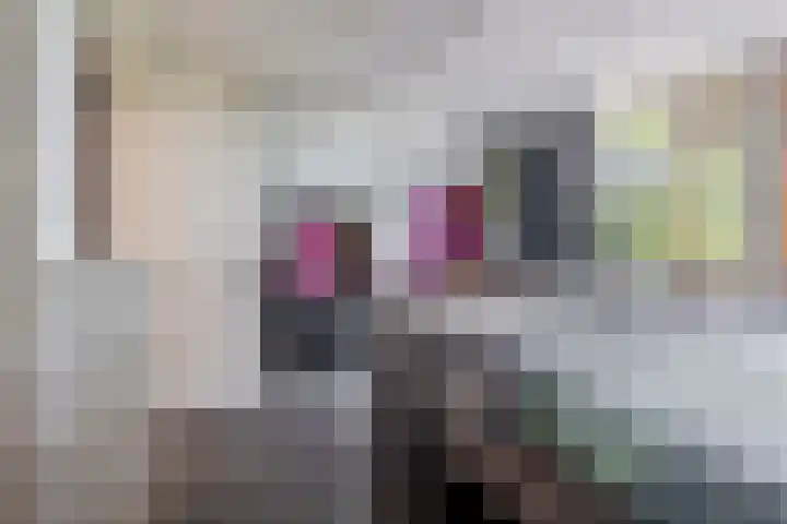Venuslaan 379 Eindhoven thumbnail 24