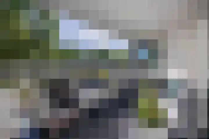 Venuslaan 379 Eindhoven thumbnail 30