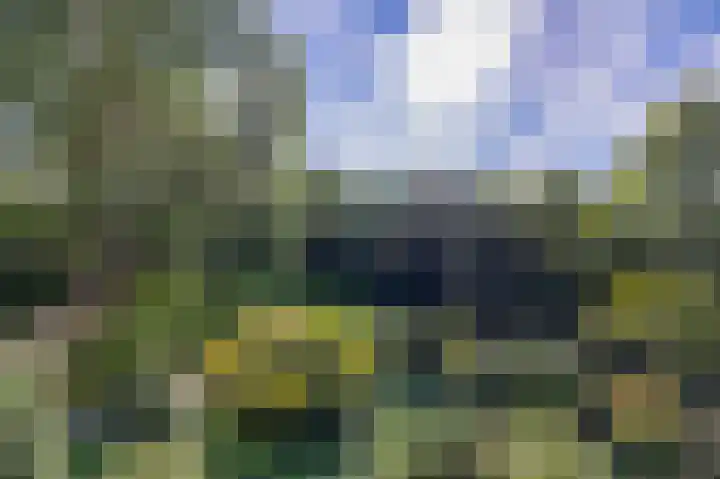 Venuslaan 379 Eindhoven thumbnail 31