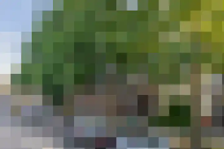 Venuslaan 379 Eindhoven thumbnail 6