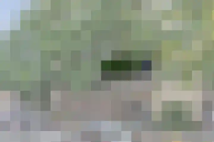 Venuslaan 379 Eindhoven thumbnail 7