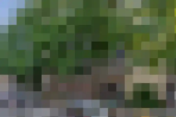 Venuslaan 379 Eindhoven thumbnail 8