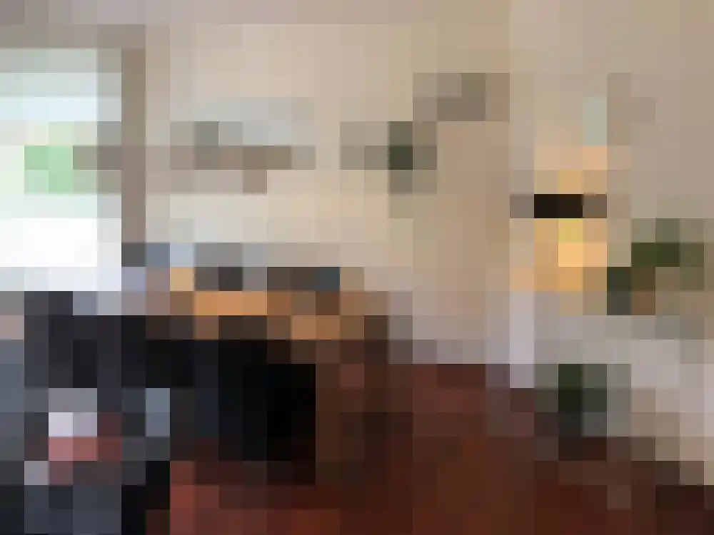 Venuslaan 381 Eindhoven thumbnail 5