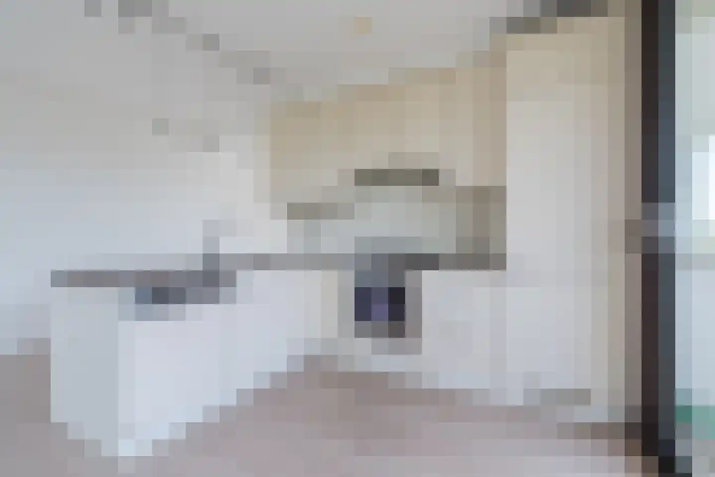 Venuslaan 383 A Eindhoven thumbnail 17