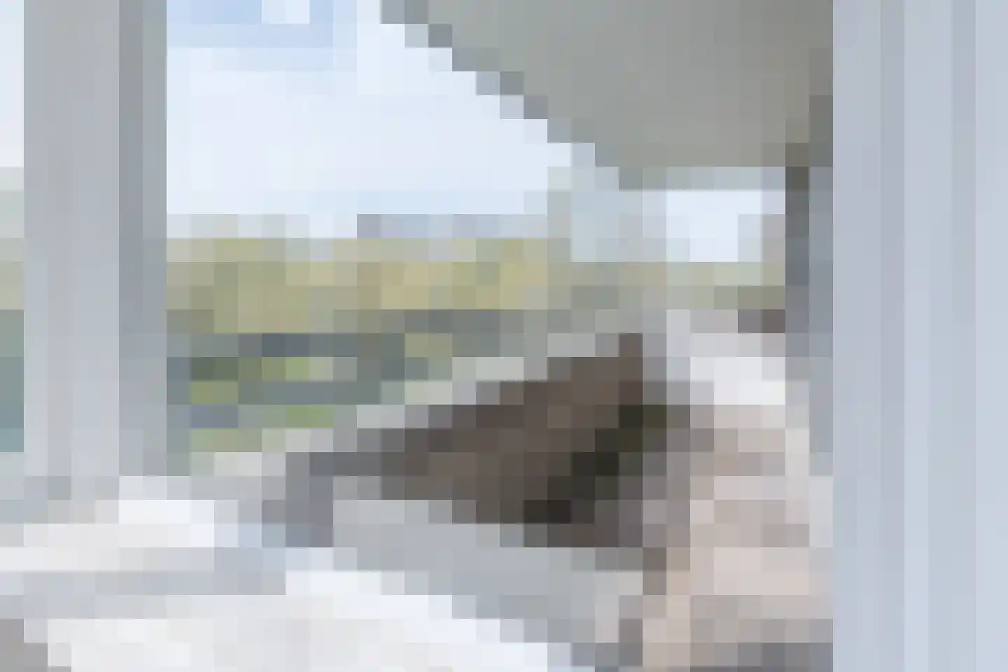 Venuslaan 383 A Eindhoven thumbnail 19
