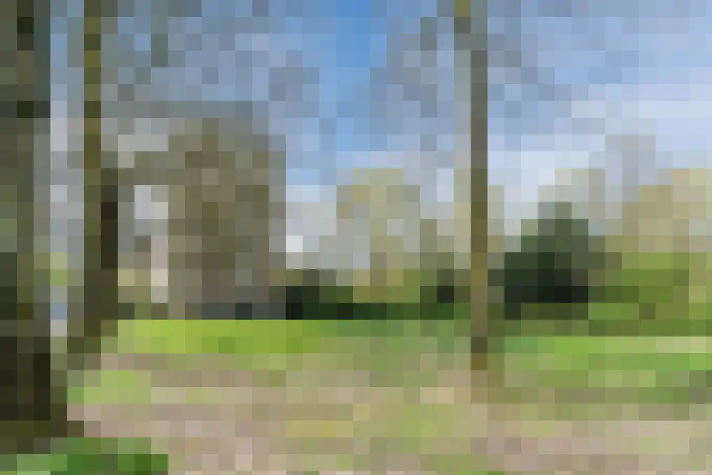 Venuslaan 383 A Eindhoven thumbnail 38