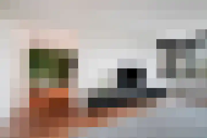 Venuslaan 385 Eindhoven thumbnail 11