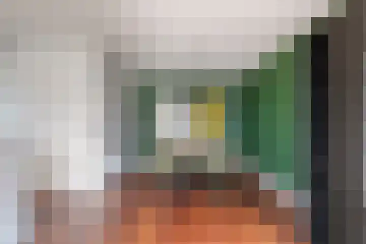 Venuslaan 385 Eindhoven thumbnail 13