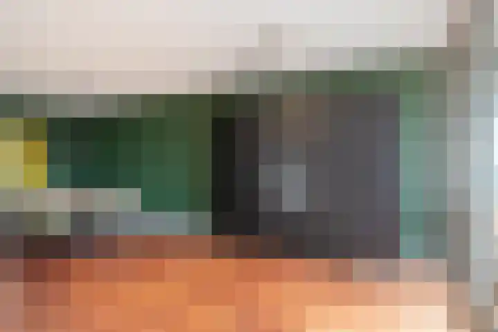 Venuslaan 385 Eindhoven thumbnail 15