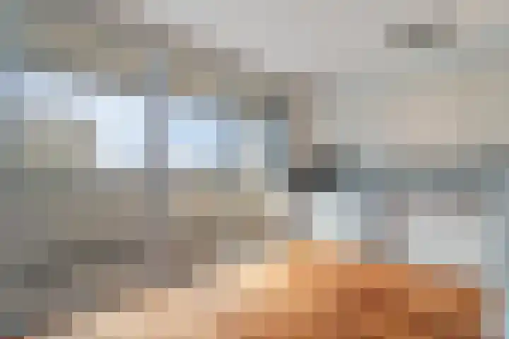 Venuslaan 385 Eindhoven thumbnail 17