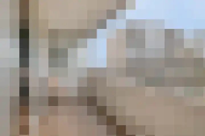 Venuslaan 385 Eindhoven thumbnail 18