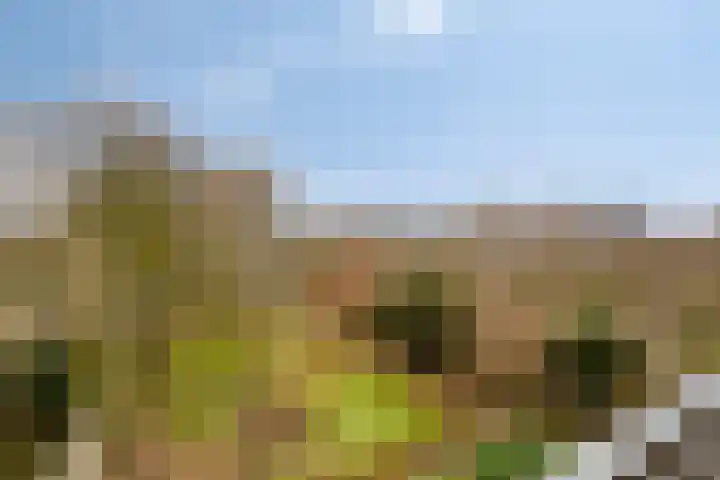 Venuslaan 385 Eindhoven thumbnail 19