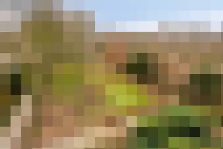 Venuslaan 385 Eindhoven thumbnail 20