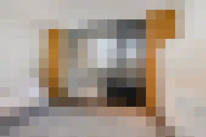 Venuslaan 385 Eindhoven thumbnail 26