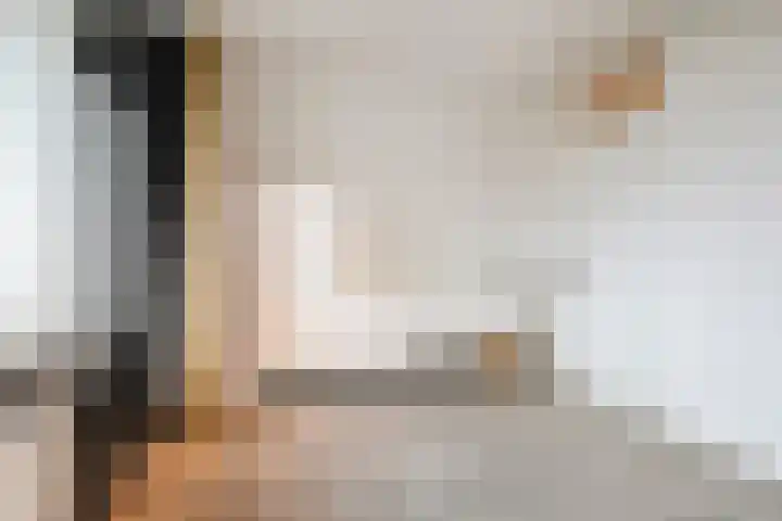 Venuslaan 385 Eindhoven thumbnail 27