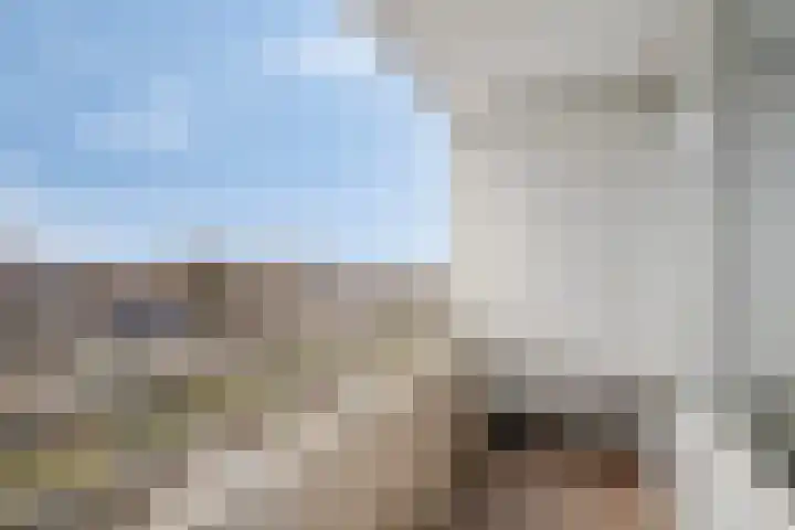 Venuslaan 385 Eindhoven thumbnail 28