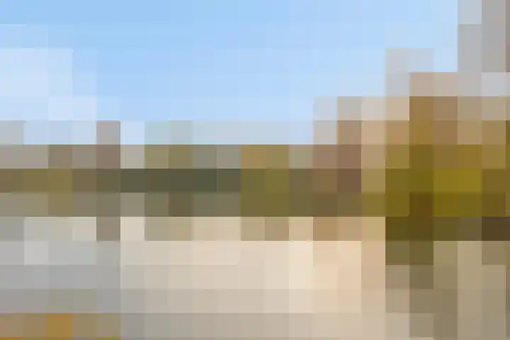 Venuslaan 385 Eindhoven thumbnail 30