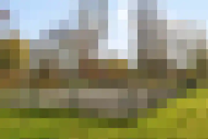 Venuslaan 385 Eindhoven thumbnail 36