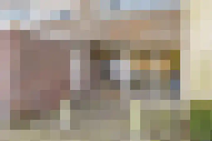 Venuslaan 385 Eindhoven thumbnail 37