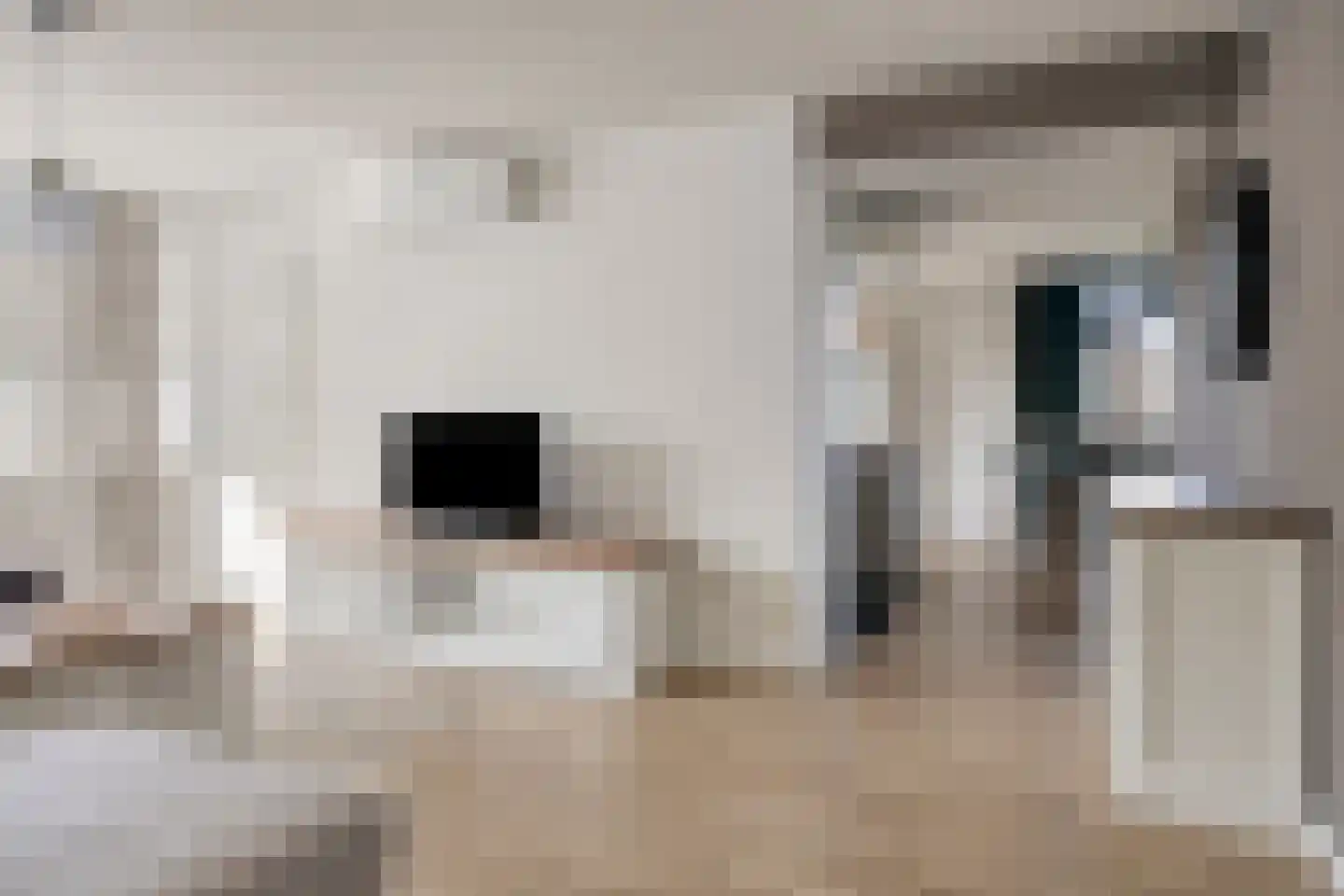 Venuslaan 389 A Eindhoven thumbnail 12