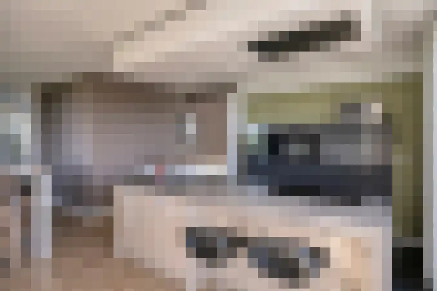 Venuslaan 389 A Eindhoven thumbnail 13