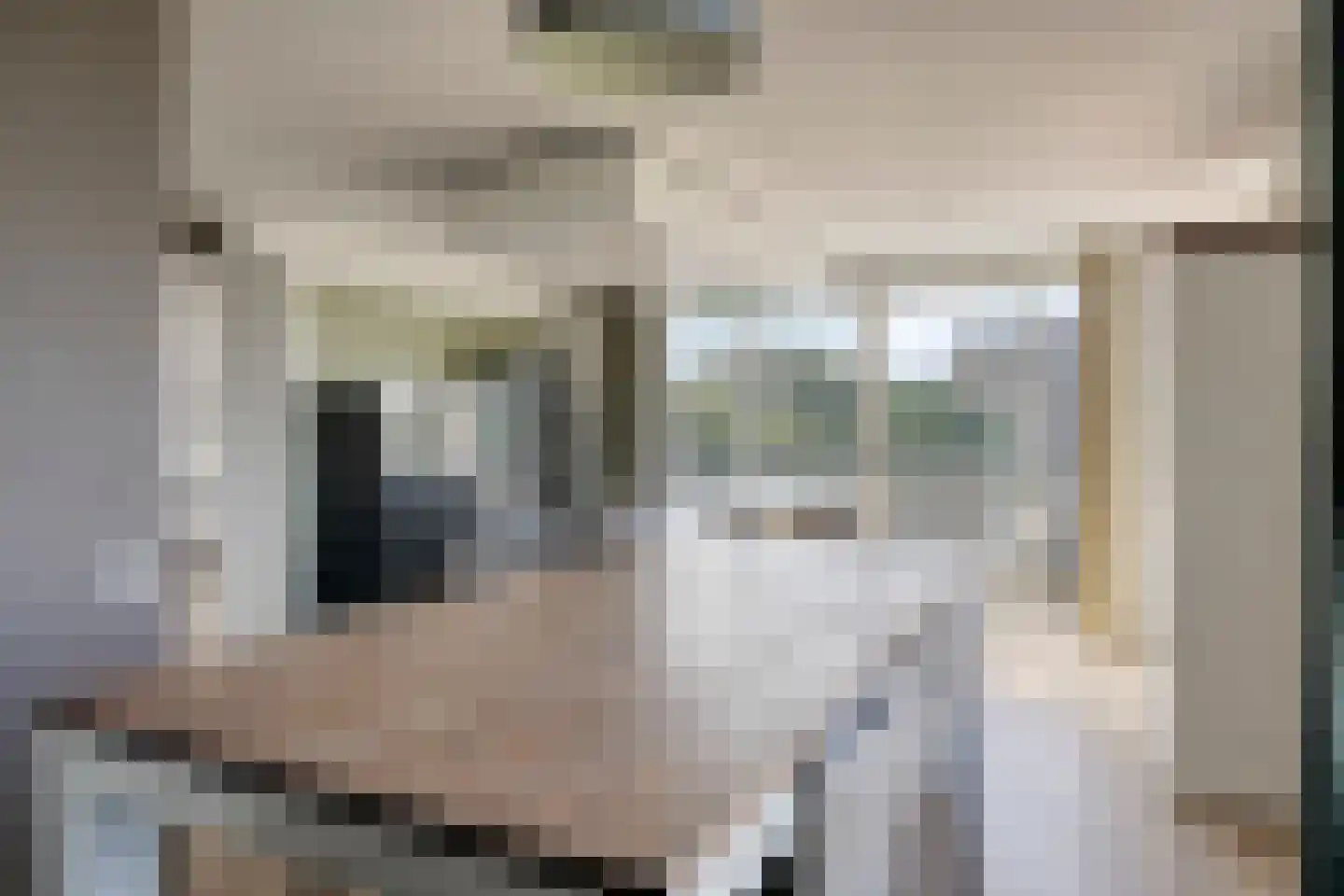 Venuslaan 389 A Eindhoven thumbnail 15