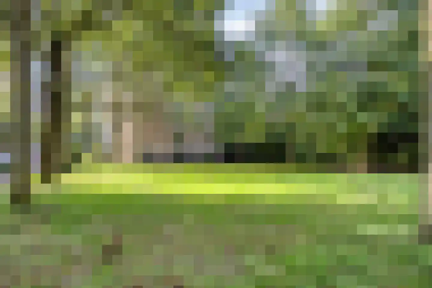 Venuslaan 389 A Eindhoven thumbnail 27