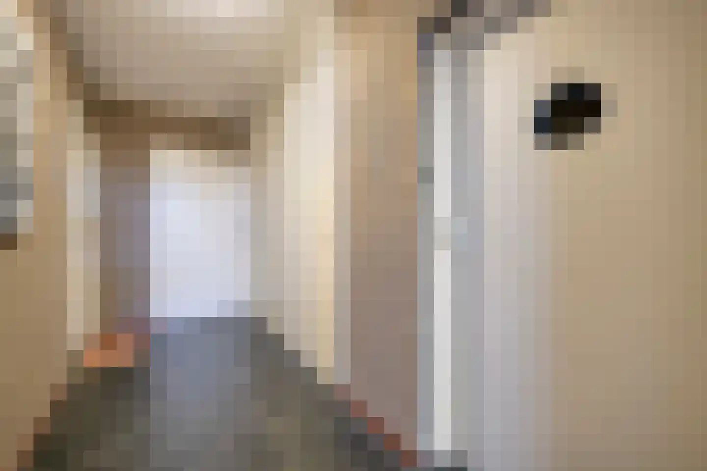 Venuslaan 389 A Eindhoven thumbnail 8