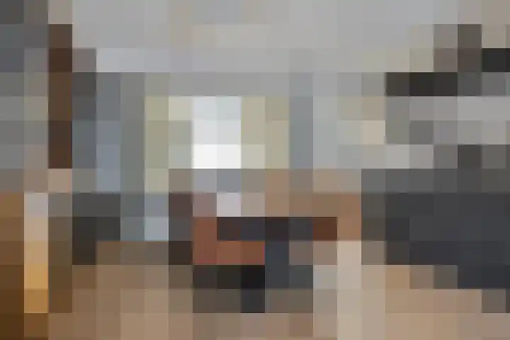 Venuslaan 397 Eindhoven thumbnail 14