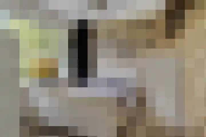 Venuslaan 397 Eindhoven thumbnail 22