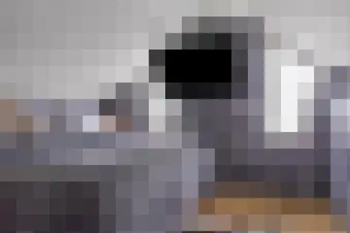 Venuslaan 397 Eindhoven thumbnail 25