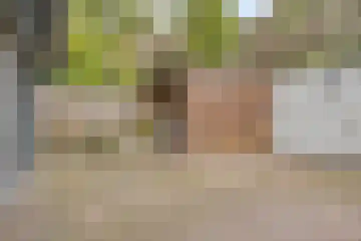 Venuslaan 397 Eindhoven thumbnail 29