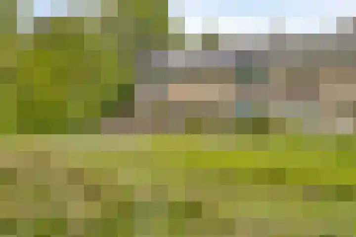 Venuslaan 397 Eindhoven thumbnail 30