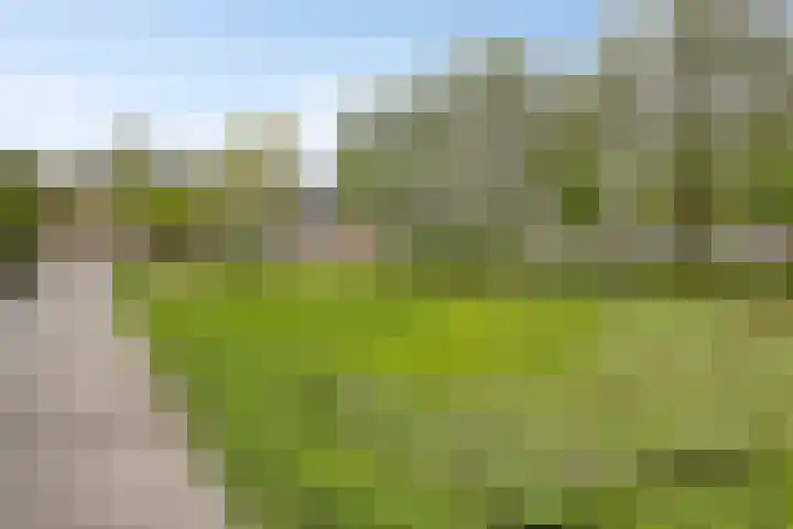Venuslaan 397 Eindhoven thumbnail 31