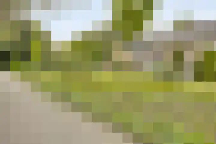Venuslaan 397 Eindhoven thumbnail 32
