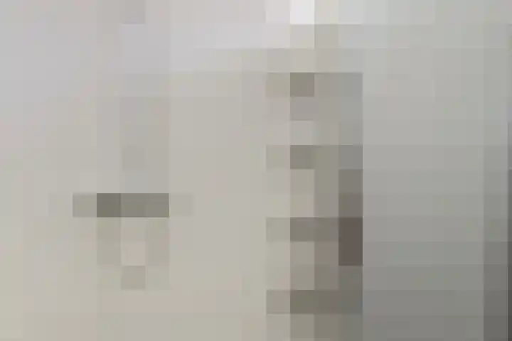 Venuslaan 397 Eindhoven thumbnail 5