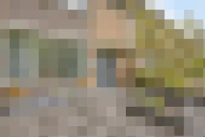 Venuslaan 397 Eindhoven thumbnail 8