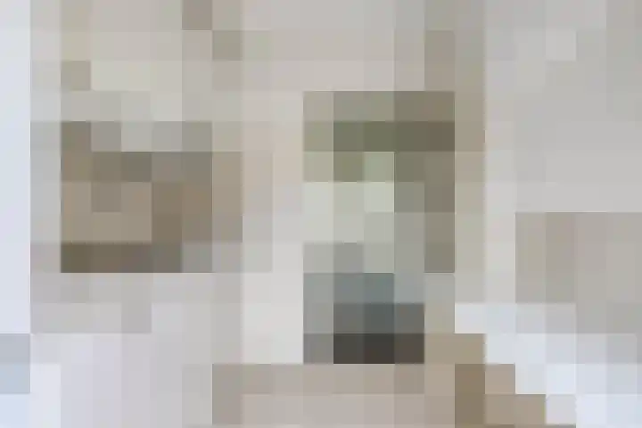 Venuslaan 401 Eindhoven thumbnail 10