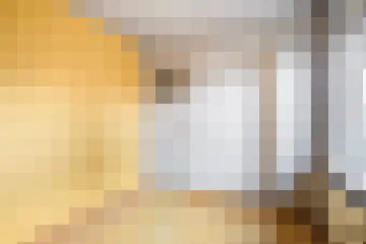 Venuslaan 401 Eindhoven thumbnail 15