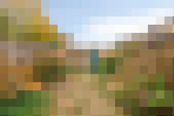 Venuslaan 401 Eindhoven thumbnail 22